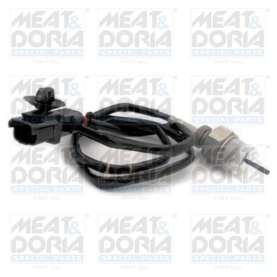 Sensor, exhaust gas temperature